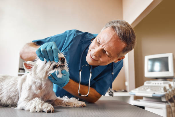 Best 24-Hour Emergency Dental Care in Watergate, FL